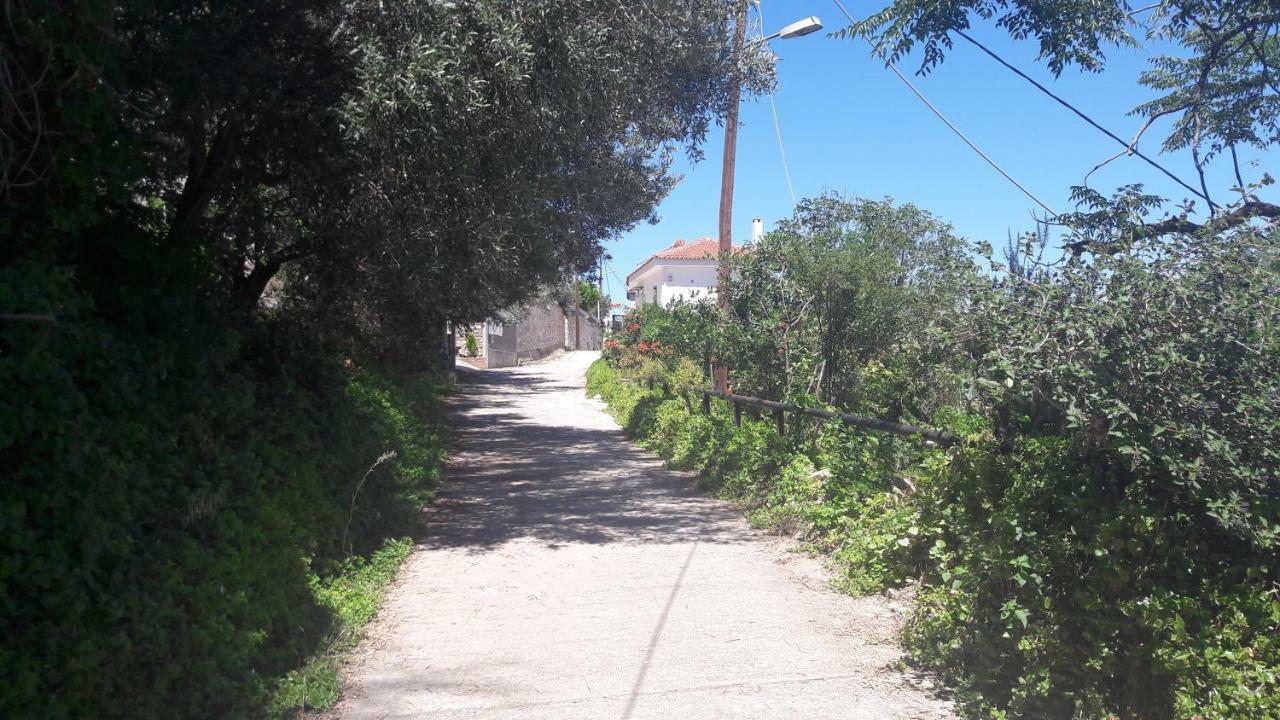 Aggeliki Apartment *